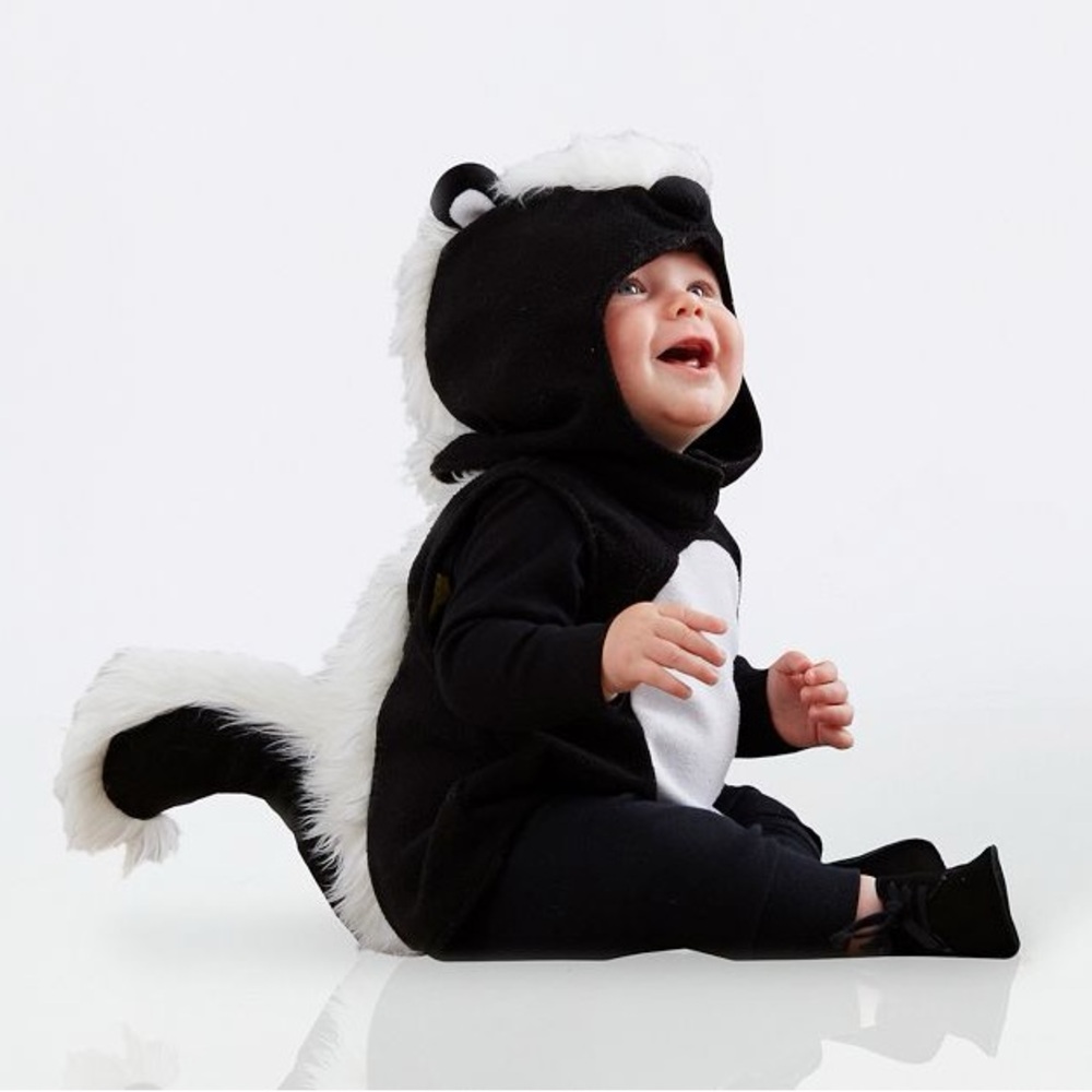 Pottery Barn Kids Skunk Costume